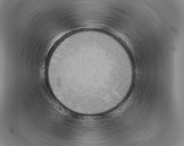 X0000111130875200907281048
