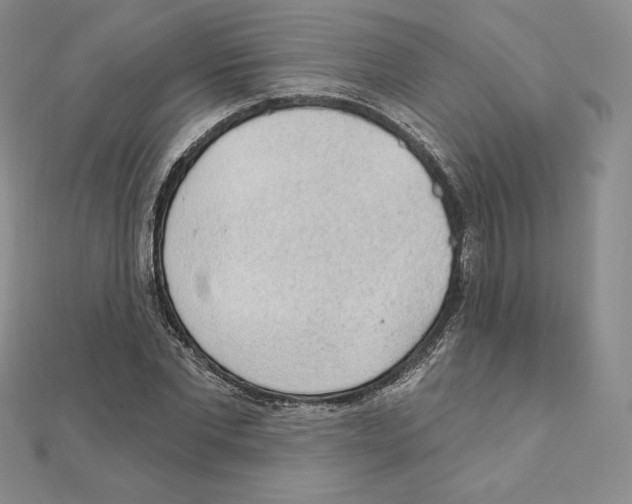 X0000111130877200907281048
