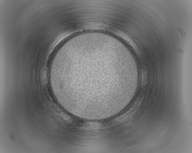 X0000111130878200907281048