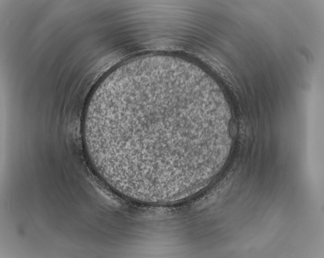 X0000111130881200907281048