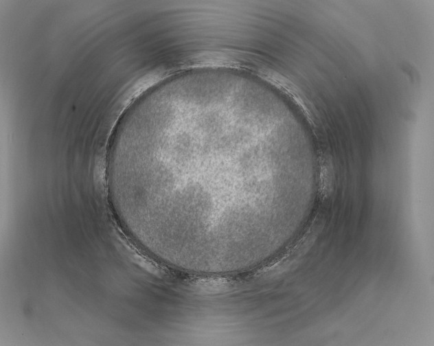 X0000111130882200907281048