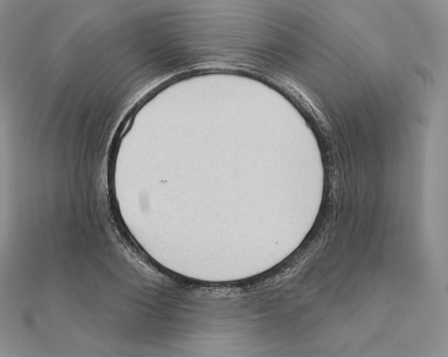 X0000111130884200907281048