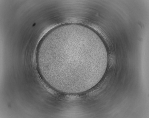 X0000111130886200907281048