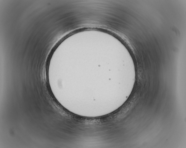 X0000111130887200907281048