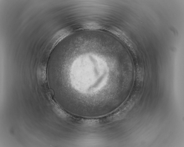 X0000111130889200907281048
