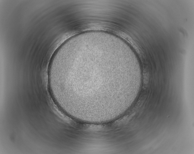 X0000111130890200907281048
