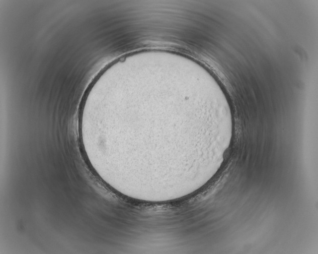 X0000111130891200907281048