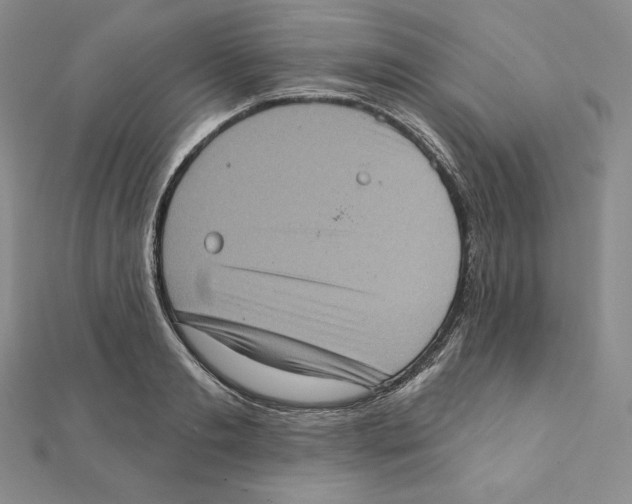 X0000111130893200907281048