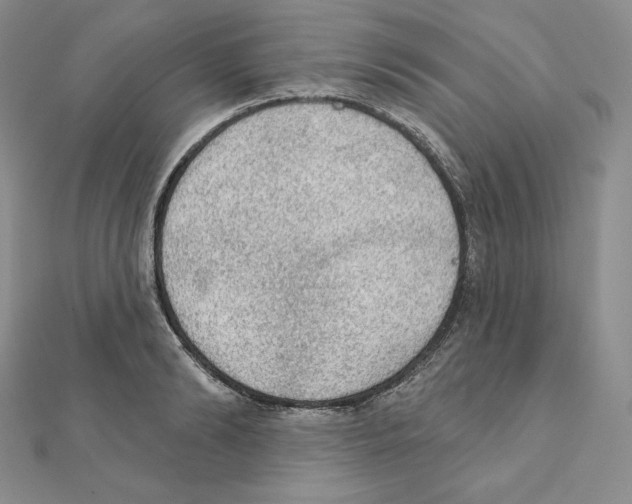 X0000111130894200907281048