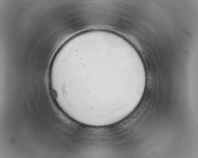 X0000111130895200907281048