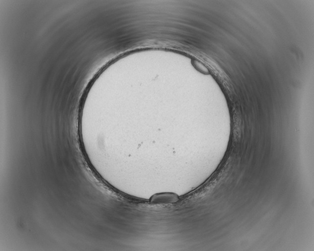 X0000111130896200907281048