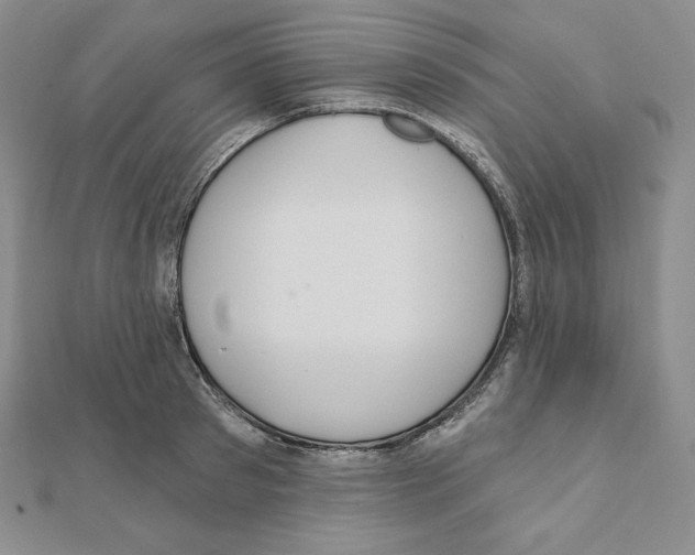 X0000111130897200907281048
