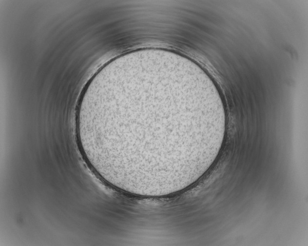 X0000111130898200907281048