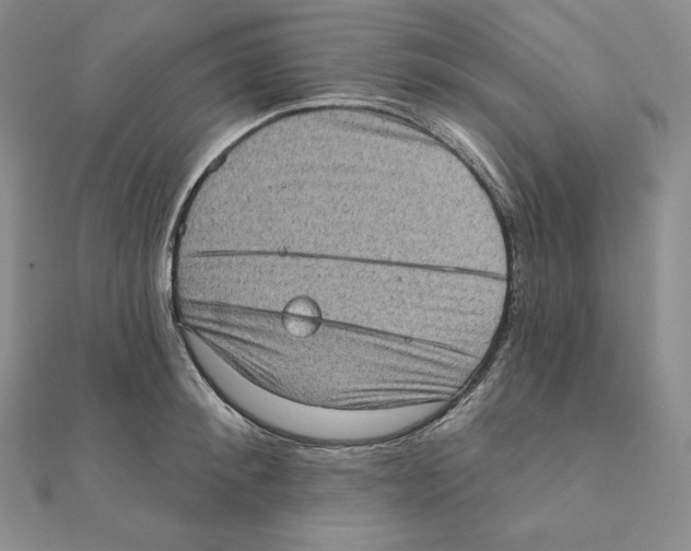 X0000111130900200907281048