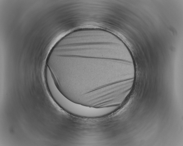 X0000111130901200907281048