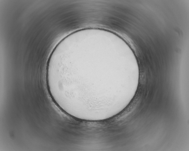 X0000111130903200907281048