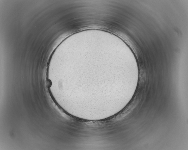 X0000111130906200907281048