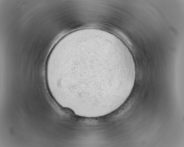 X0000111130907200907281048
