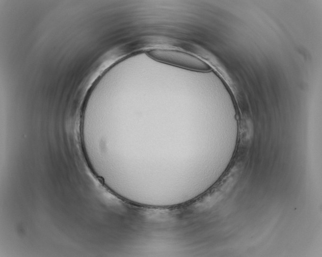 X0000111130909200907281048