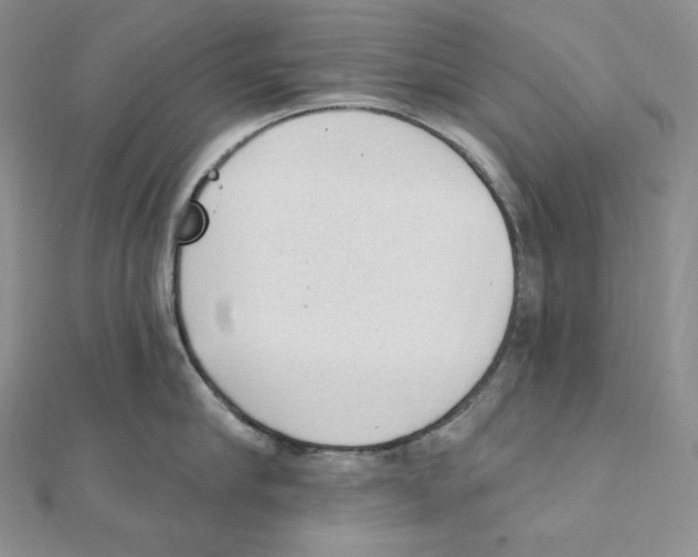 X0000111130910200907281048
