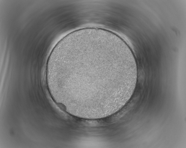 X0000111130911200907281048