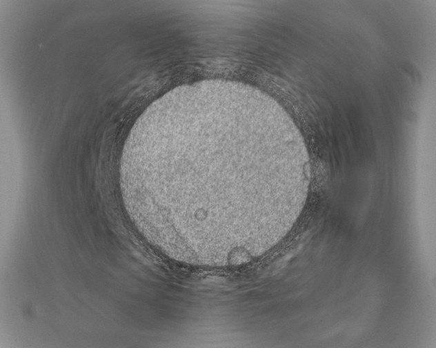 X0000111130913200907281047