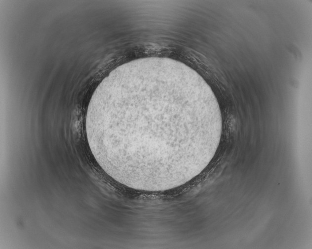 X0000111130914200907281047