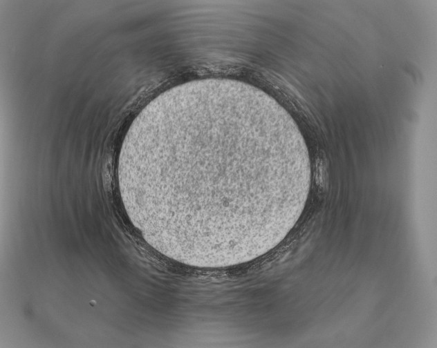 X0000111130915200907281047