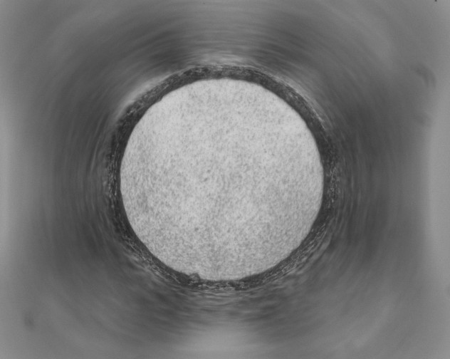 X0000111130919200907281047