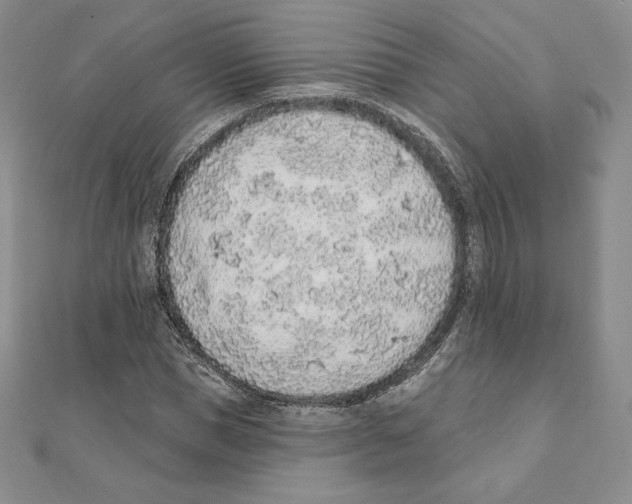 X0000111130921200907281047