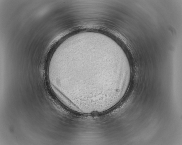 X0000111130922200907281047