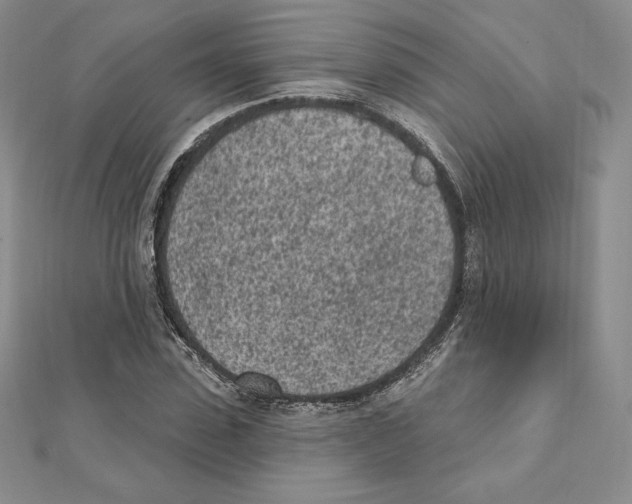 X0000111130923200907281047