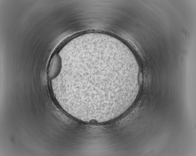 X0000111130924200907281047