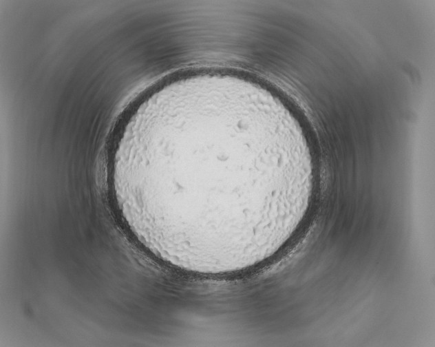X0000111130925200907281047