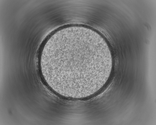 X0000111130926200907281047