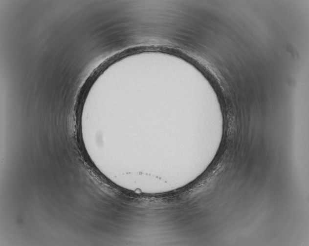 X0000111130927200907281047
