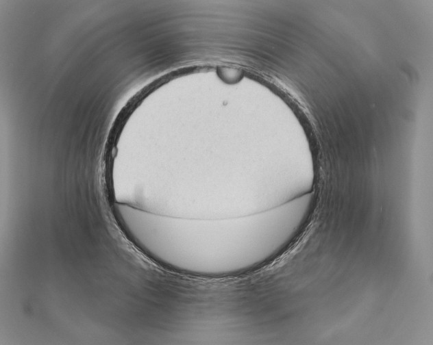 X0000111130928200907281047