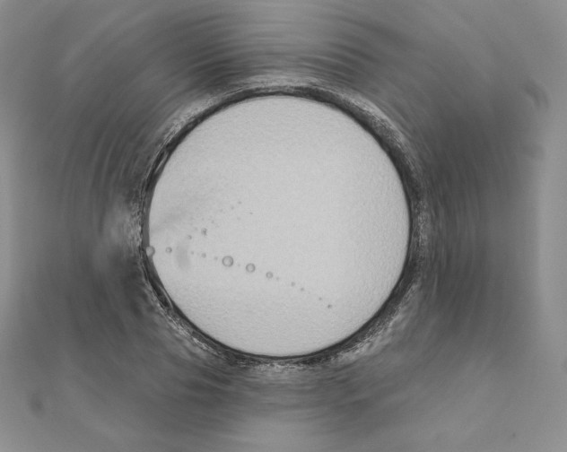 X0000111130929200907281047