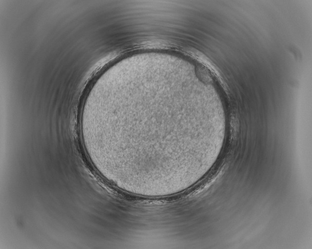 X0000111130930200907281047