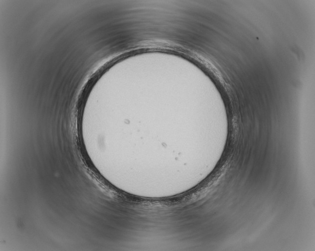 X0000111130931200907281047