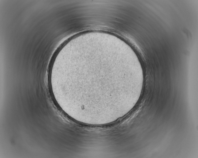 X0000111130932200907281047