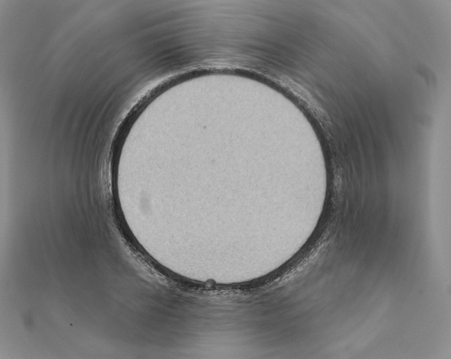X0000111130934200907281047