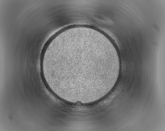 X0000111130935200907281047