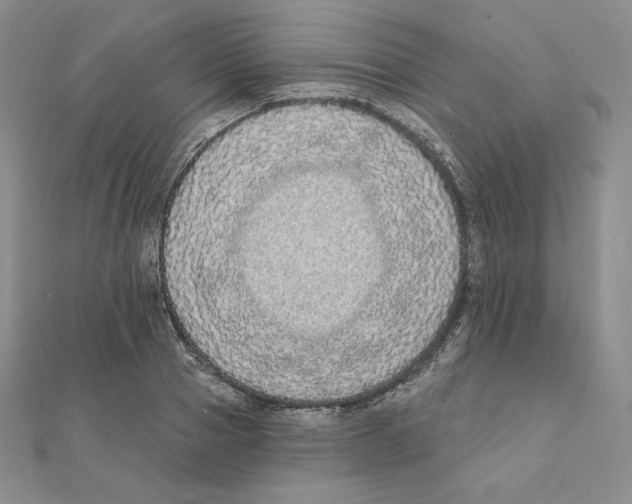 X0000111130937200907281048