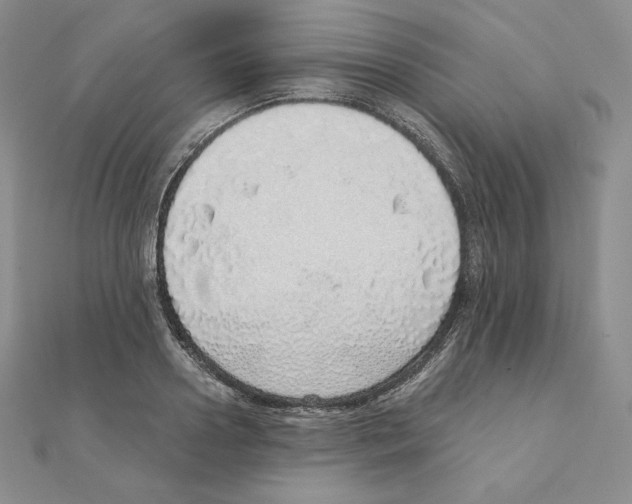 X0000111130938200907281048