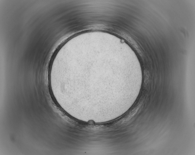 X0000111130939200907281048