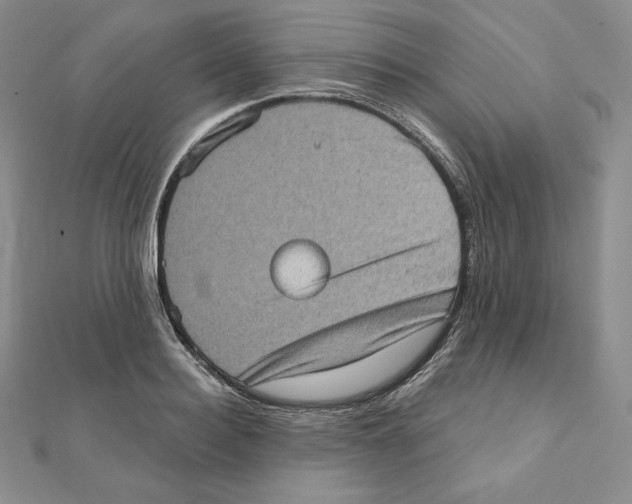 X0000111130940200907281048