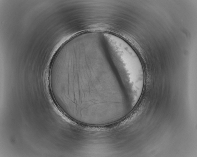 X0000111130941200907281048
