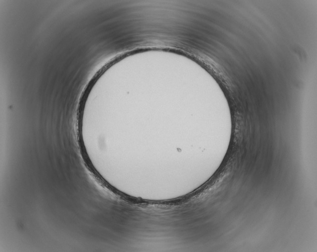 X0000111130942200907281048