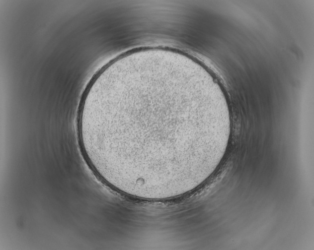 X0000111130943200907281048